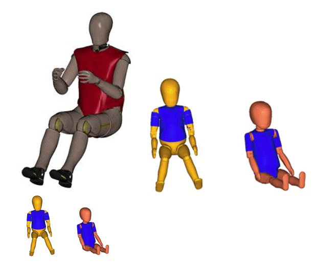 Altair Adds Virtual Crash Test Dummy Models to its RADIOSS Portfolio