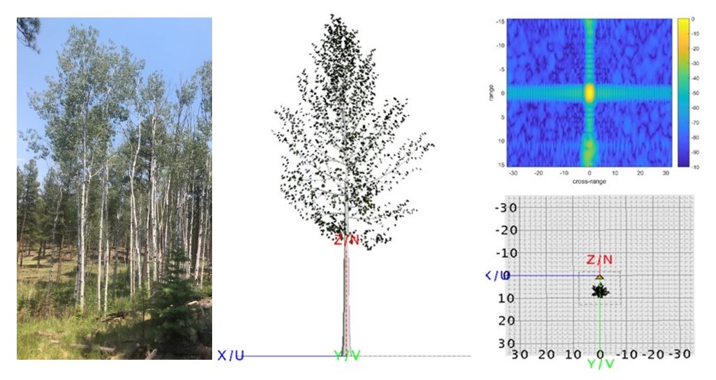Simulation of High Fidelity Foliage Penetration (FOPEN) at Ku Band